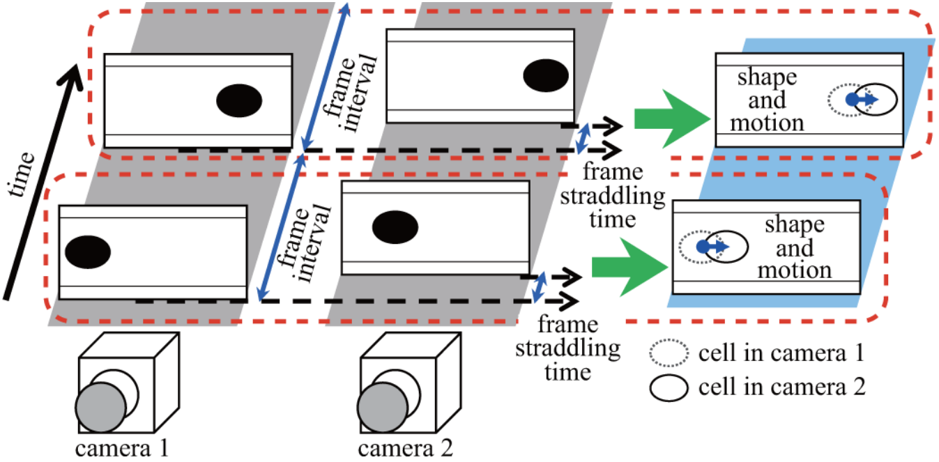 framestraddling concept