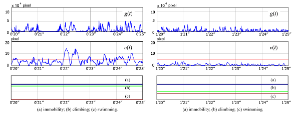 forced swim /graph