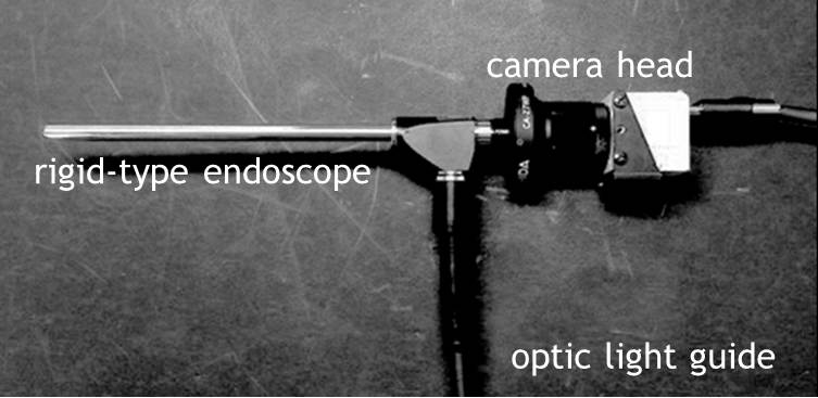 HFR laryngoscope